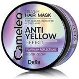 Delia Cosmetics Cameleo Silver Haarmasker  neutraliseert gele Tinten 200 ml