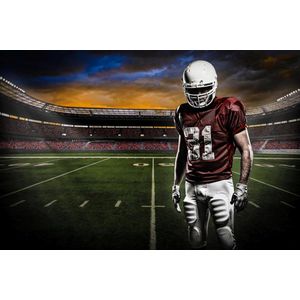 American Football Stadium Photo Wallcovering