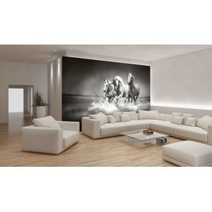 Unicorns Horses Black White Photo Wallcovering