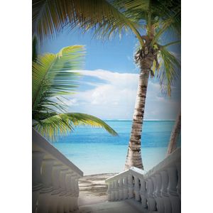 Beach Tropical Photo Wallcovering