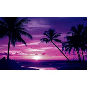 Beach Tropical Sunset Palms Photo Wallcovering