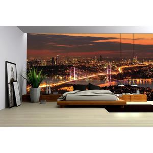 City Skyline Istanbul Bosphorus Photo Wallcovering