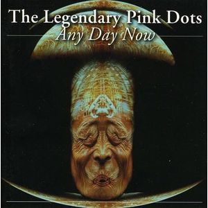 The Legendary Pink Dots - Any Day Now