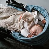 Dekens - Zacht - Grijs - 100% Polyester