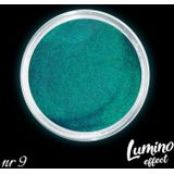 DRM Glow In The Dark Nagelpoeder Lumino Effect #9