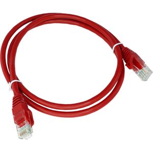 AVIZIO KKU6CZE0.5 netwerkkabel Rood 0,5 m Cat6 U/UTP (UTP)