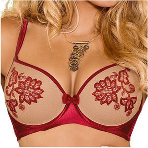 RZ Mehendi push-up bra claret