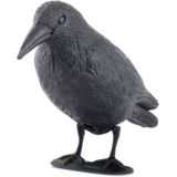 Raaf  Raven - Corbeau (tuin / Haloween)