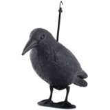 Raaf  Raven - Corbeau (tuin / Haloween)