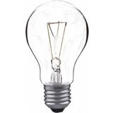 White Label - Gloeilamp - E27 - 40W - 400lm - Helder - Warm Wit