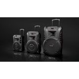 Krüger & Matz KM1715 Professionele Mobiele Luidspreker Party Speaker Box - 60 Watt Zwart