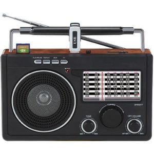 Datel - Frisky RD-70 - Radio - Bruin - FM, AM, Draagbaar