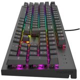 GENESIS Thor 303 toetsenbord Gamen USB QWERTY Amerikaans Engels Berk