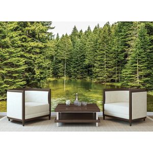 River Forest Nature Photo Wallcovering