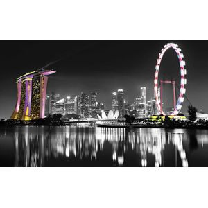 Singapore Skyline Photo Wallcovering
