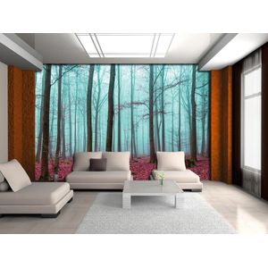 Nature Wood Forest Photo Wallcovering