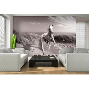 White Horse Beach Grey Photo Wallcovering