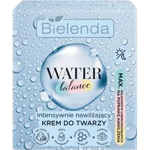 Water Balance - Intensieve Hydraterende Gezichtscrème - 50ml - Veganistisch - Hydraterend