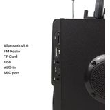 Audiocore AC730 Draagbare Bluetooth Luidspreker - Draadloos - 11W Uitgangsvermogen - Met Radio - USB - Aux-in