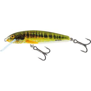 Salmo Minnow 7cm Sinking Holo Real Minno | Kunstaas