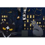 Many Mornings unisex sokken Black Cat