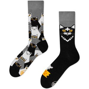 Many Mornings Freizeitsocken Black Cat Many Mornings Socken mit Katzen in 39-42 im Paar
