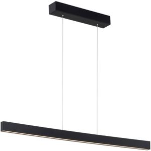 Argon LED hanglamp Broll, zwart