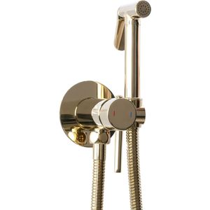 REA Loop - Bidetkraan Inbouw Mengkraan met Bidet Sproeier Set - Goud