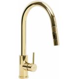 Rea Fresh High Keukenmengkraan Goud