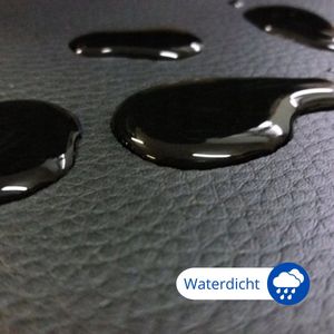 CarPassion Autostoelhoes - Autostoelbeschermer - Stoelhoes - Bescherming - Kunstleder - Zwart - Maat L