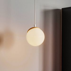 Eko-Light Hanglamp Sfera 1-lamp glas/hout licht