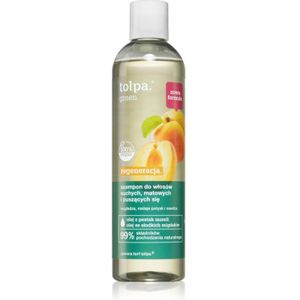 Tołpa Green Regeneration Shampoo voor Droog en Dof Haar 300 ml