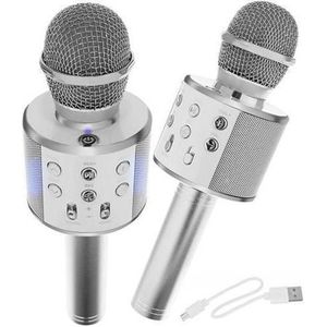 Karaoke microfoon zilver