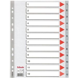 10 x Esselte Register A4 1-12 PP grau