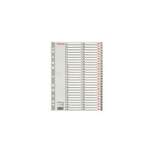Esselte 100109 A4 index | plastic | 1-54 | 11-gaats