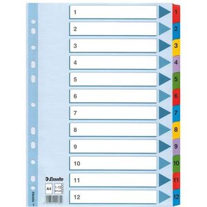 Esselte Ordnerregister Vollformat 1-12 farbig