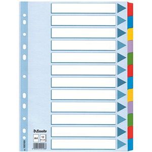 Esselte Register A4 Mylar 225x297mm 12-teilig blanko