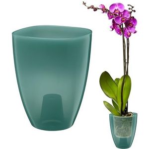 VERDENIA KAJA Orchideeënpot, minimalistisch design, licht, voor binnen, hoogwaardig polypropyleen, transparant oppervlak, praktisch en functioneel, 12 x 12 x 17 cm, groen