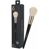 Tapered Powder Brush - 300