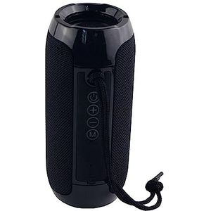 Manta Draagbare Bluetooth-luidspreker - Party - 2 x 5 W - Boombox FM/USB/Micro SD/AUX-in - Handsfree - Verbeterde bas - SPK12GO