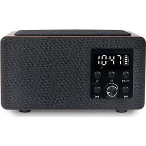 Manta RDI910WC (FM, Bluetooth), Radio, Bruin