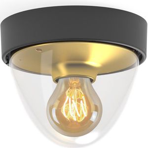 Nowodvorski Lighting Plafondlamp Nook met heldere kap, zwart/goud