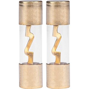 AMiO - AGU - Auto Glaszekering - 30A - Set 2 Stuks