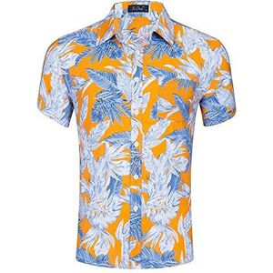 Lipgloss - 5 Kleuren - Hydraterend - Glanzend Effect