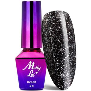 Top no wipe Hollywood MollyLac Silver