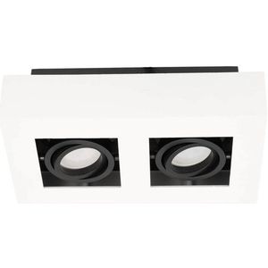 123led - Opbouwspot - Aluminium - IP20 - 2 Fittingen