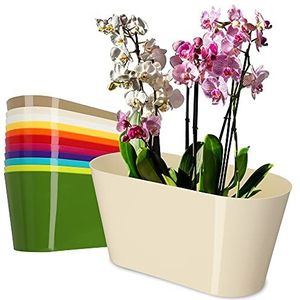 KADAX Bloempot van kunststof, 27 x 13 cm, brede pot, ovale plantenpot, bloempot voor orchideeën, Bellis, viooltjes, draceen (ecru)