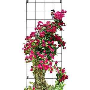 KADAX Rankrooster, klimhulp van staal, wandrooster voor planten, tuin, balkon, terras, draadgaas, klimhulp, plantenrooster, hekwerk, wandbevestiging, zwart (65 x 170 cm)