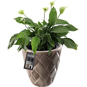 KADAX Bloempot met inzetstuk en handgrepen, plantenbak van kunststof in 5 maten, uv-bestendig, weerbestendig, hoog, met 3D-effect, laag, beige