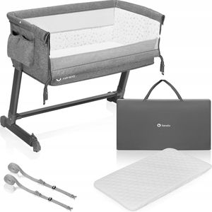 Lionelo Theo 2-in-1 babybed, bijzetbed voor baby's vanaf de geboorte tot 9 kg, hoogteverstelling, hellingsverstelling, opvouwbare zijwand, matras, muggennet